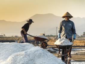 电影明朝瘟疫的启示与反思电影明朝瘟疫在线观看